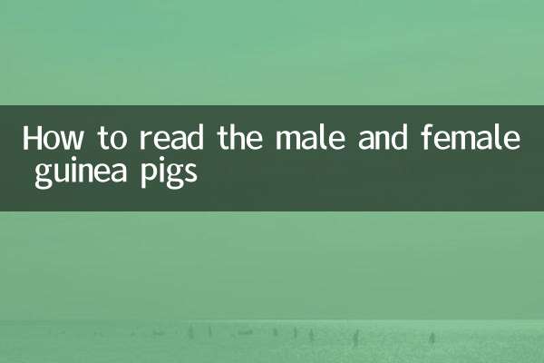 How to read the male and female guinea pigs