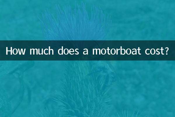 How much does a motorboat cost?