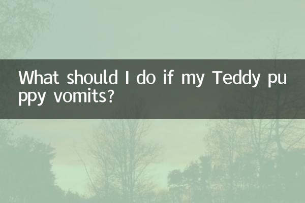 What should I do if my Teddy puppy vomits?