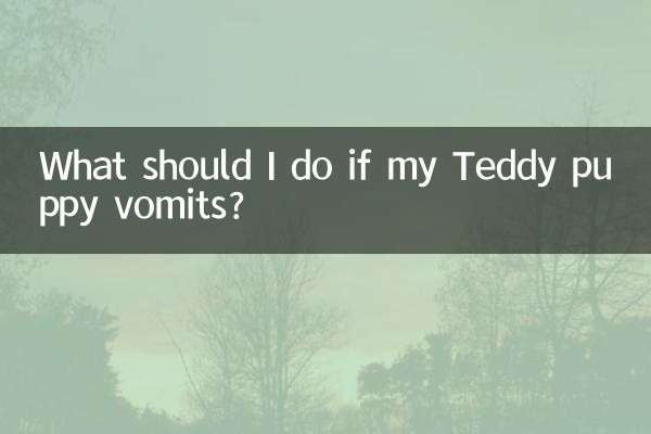 What should I do if my Teddy puppy vomits?