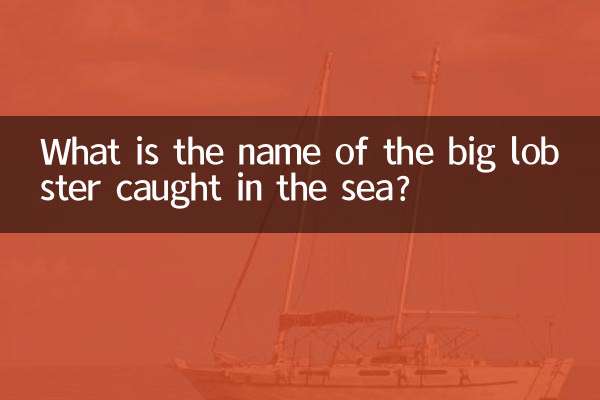 What is the name of the big lobster caught in the sea?