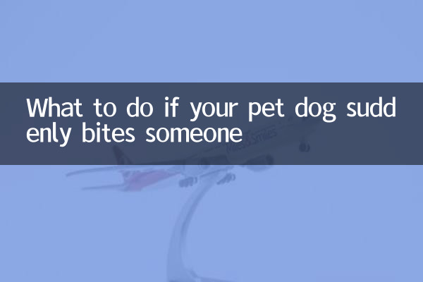 What to do if your pet dog suddenly bites someone