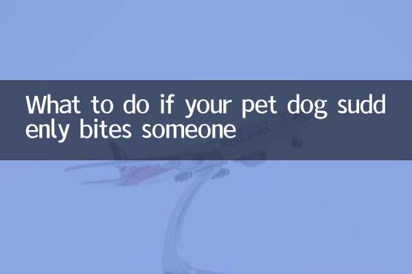 What to do if your pet dog suddenly bites someone