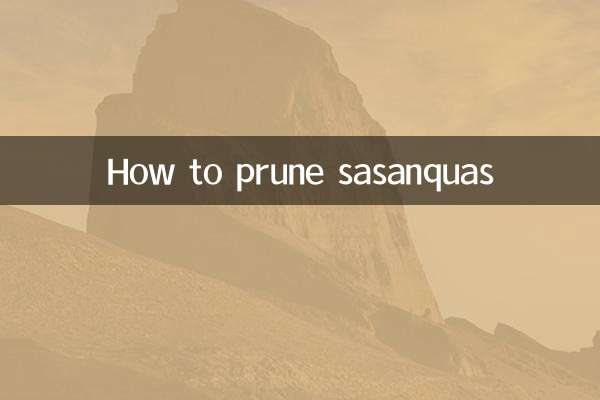 How to prune sasanquas