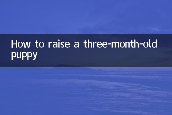 How to raise a three-month-old puppy