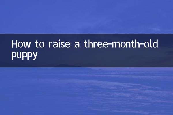 How to raise a three-month-old puppy