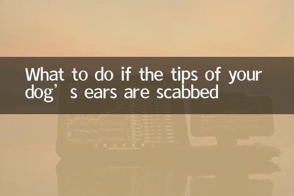 আপনার কুকুরের কানের ডগা চুলকাতে থাকলে কী করবেন