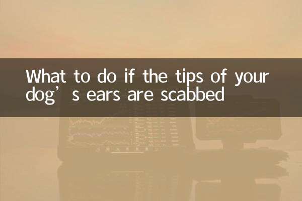 O que fazer se as pontas das orelhas do seu cachorro estiverem com crostas