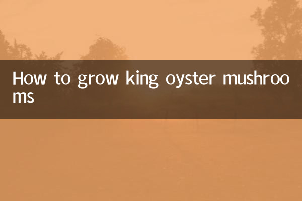 রাজা ঝিনুক মাশরুম কিভাবে বৃদ্ধি করা যায়