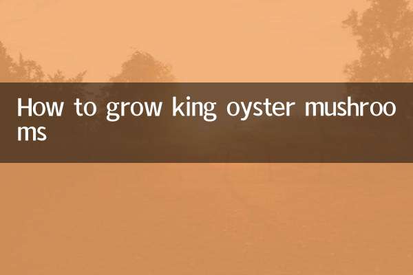 রাজা ঝিনুক মাশরুম কিভাবে বৃদ্ধি করা যায়