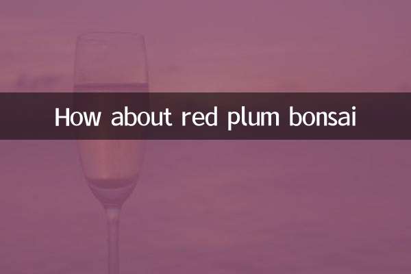 ماذا عن بونساي البرقوق الأحمر