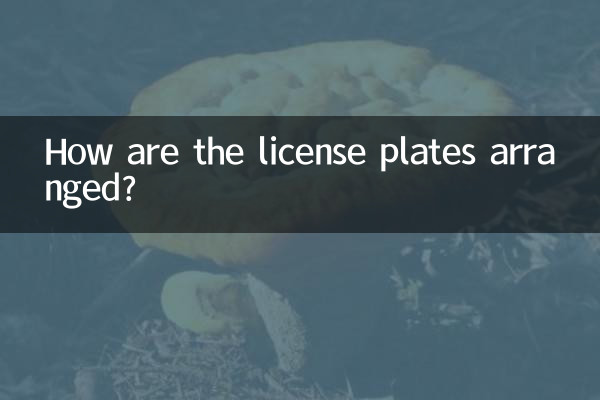 Wie sind die Nummernschilder angeordnet?