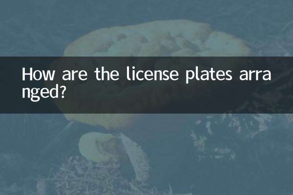 Wie sind die Nummernschilder angeordnet?