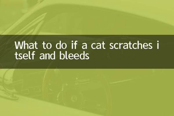 ماذا تفعل إذا خدشت القطة نفسها ونزفت؟