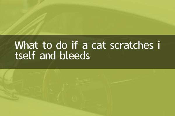 ماذا تفعل إذا خدشت القطة نفسها ونزفت؟