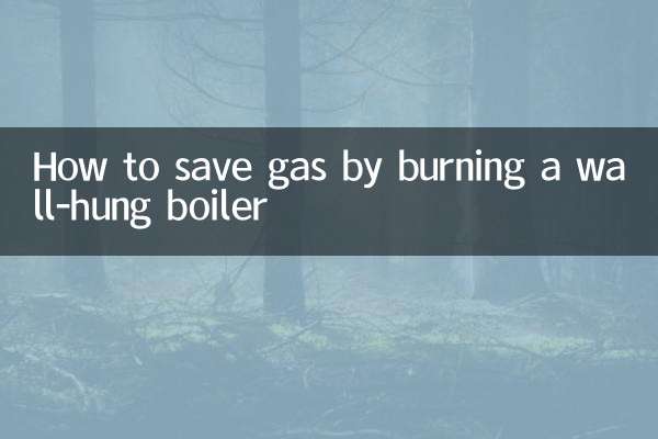 نحوه صرفه جویی در مصرف گاز با سوزاندن دیگ دیواری