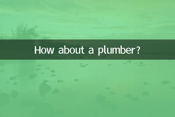 배관공은 어때요?