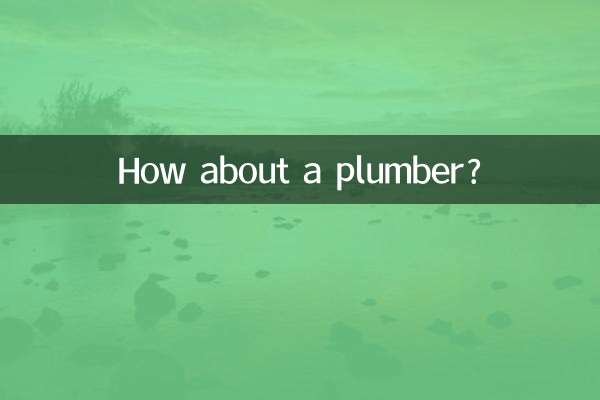 কিভাবে একজন প্লাম্বার সম্পর্কে?