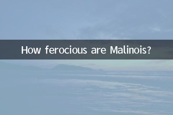 Wie wild sind Malinois?