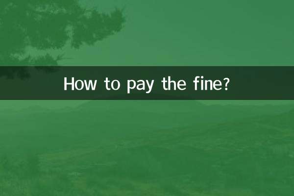 چگونه جریمه را پرداخت کنیم؟