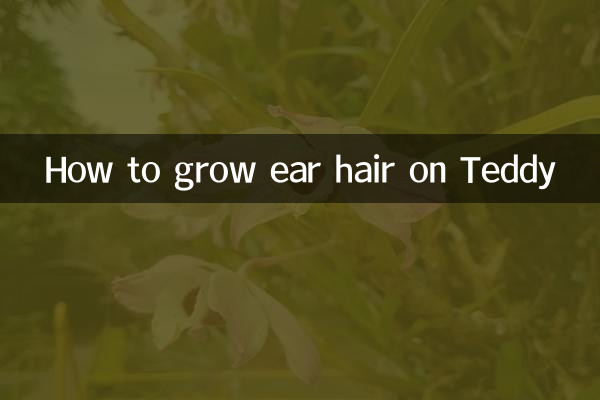 نحوه رشد موهای گوش در تدی