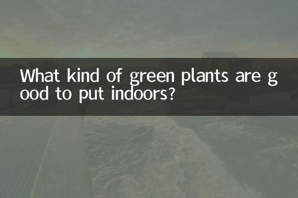 Que tipo de plantas verdes são boas para colocar dentro de casa?