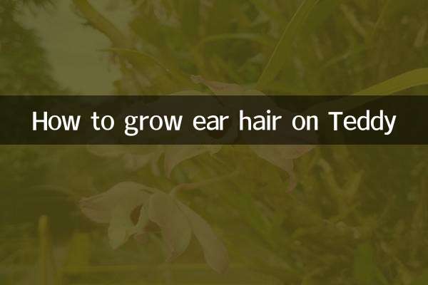 Как отрастить волосы в ушах у Тедди