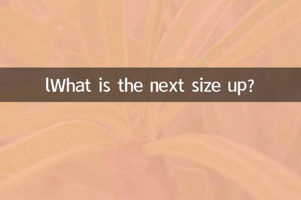 lQuelle est la prochaine taille au-dessus ?