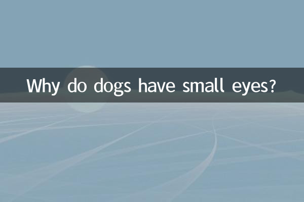 কুকুরের চোখ ছোট কেন?