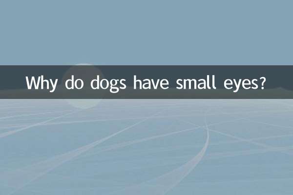 Почему у собак маленькие глаза?