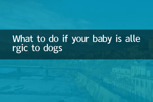 아기가 개에 알레르기가 있는 경우 대처 방법
