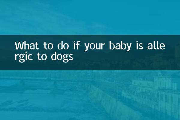 아기가 개에 알레르기가 있는 경우 대처 방법