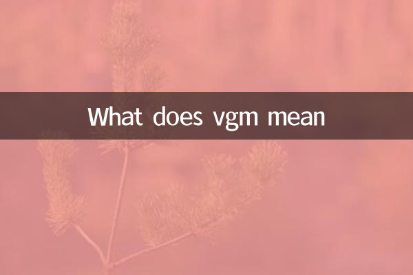 Cosa significa vgm