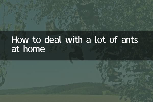 집에 개미가 많을 때 대처하는 방법