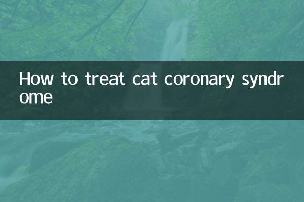 كيفية علاج متلازمة الشريان التاجي للقطط