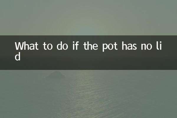 کیا کریں اگر برتن میں کوئی ڑککن نہ ہو