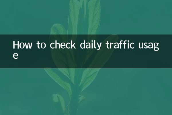 How to check daily traffic usage