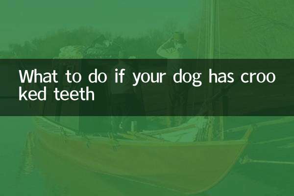 Que faire si votre chien a les dents de travers