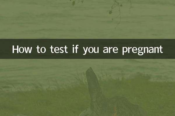 怎麼測試是否懷孕