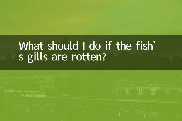 ¿Qué debo hacer si las branquias del pez están podridas?