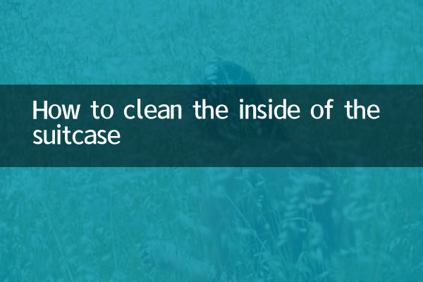 Come pulire l'interno della valigia