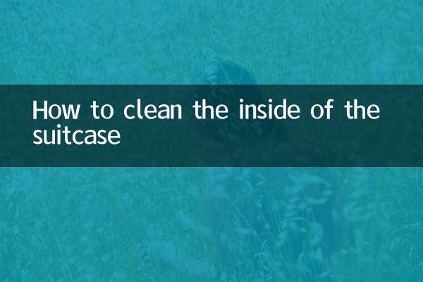Come pulire l'interno della valigia