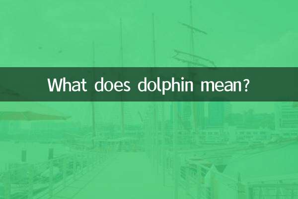 What does dolphin mean?