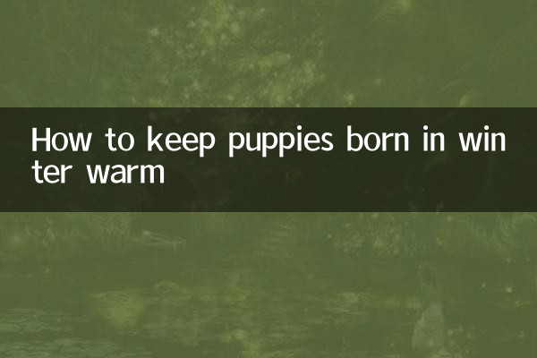 শীতকালে জন্ম নেওয়া কুকুরছানাকে কীভাবে উষ্ণ রাখবেন