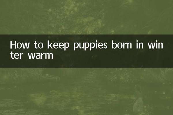 শীতকালে জন্ম নেওয়া কুকুরছানাকে কীভাবে উষ্ণ রাখবেন
