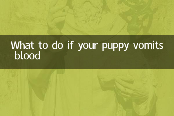 小狗呕吐带血怎么办