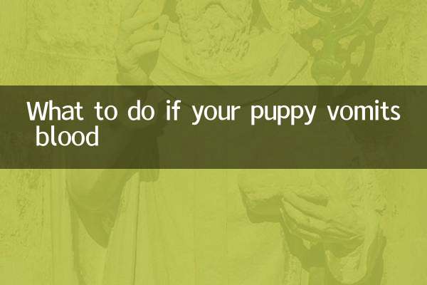 小狗呕吐带血怎么办