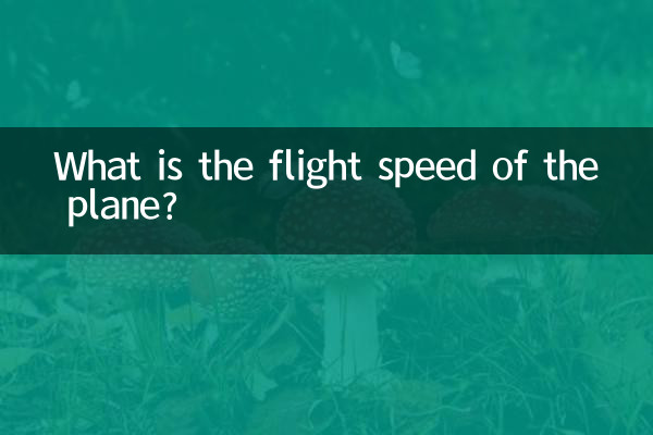 What is the flight speed of the plane?