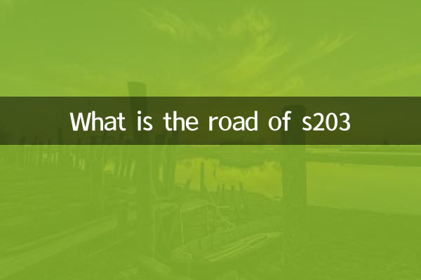 S203의 길은 무엇입니까?