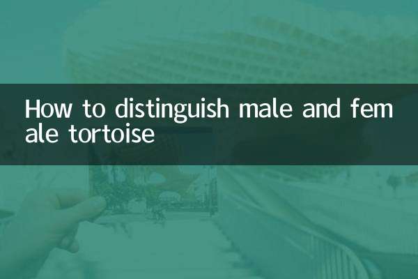 Comment distinguer la tortue masculine et féminine